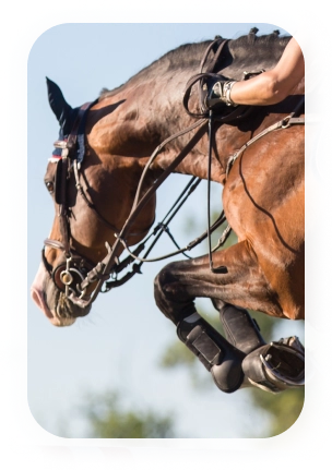 Elegant equestrian sports image capturing a horse and rider in motion during an outdoor jumping session.