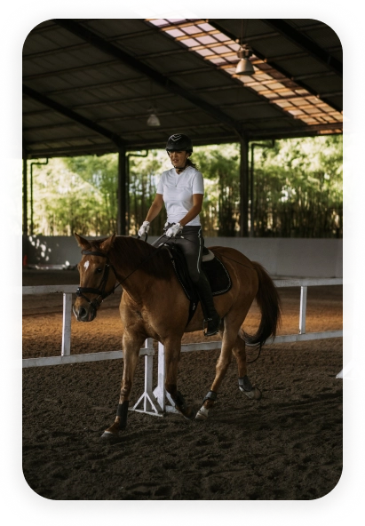 Young rider training horseback riding skills inside a modern indoor equestrian arena with natural light.