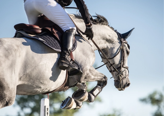 Dynamic close-up of a white horse and rider mid-air during a competitive show jumping performance.
